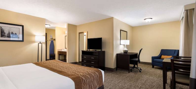 南达科他扬克顿舒适酒店(Comfort Inn Yankton SD)图片