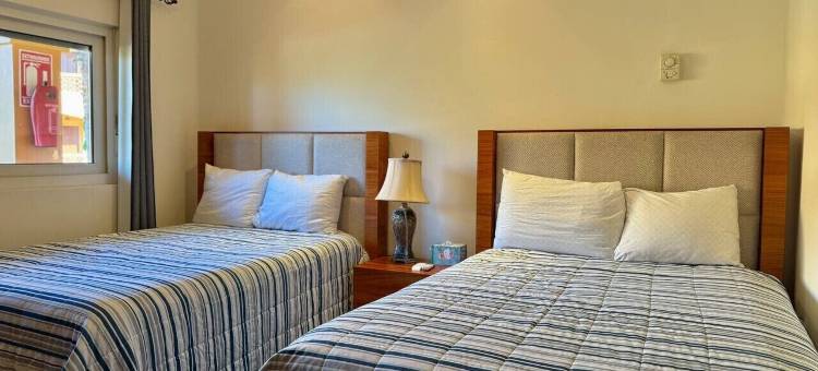 海星(Estrella de Mar)图片