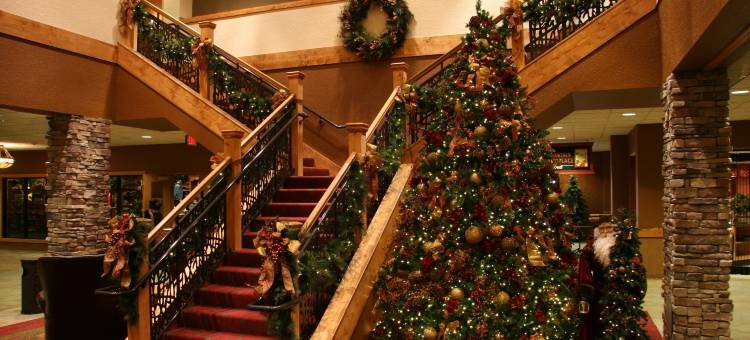 史莫奇斯野外石丘小屋酒店(Wilderness at the Smokies - Stone Hill Lodge)图片