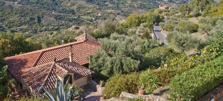 博尔戈里奇奥乡村民宿(Borgo Riccio)图片