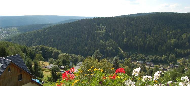 美景旅馆(Berggasthaus & Pension Schöne Aussicht)图片