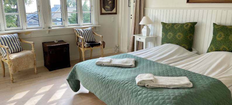 布林克里别墅酒店(Hotel Villa Brinkly)图片