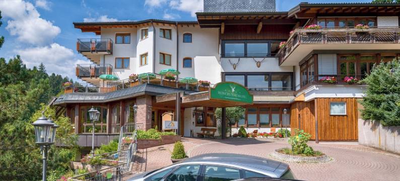 蒙施瓦德林酒店(Ringhotel Mönch`s Waldhotel)图片