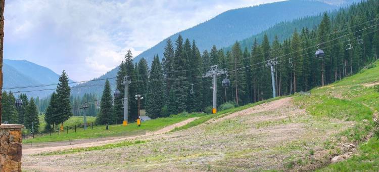 Luxury 1-Bedroom Ski-in Out Condo with Slopeside Heated Pool, No Cleaning Fee 1 Condo by Redawning图片