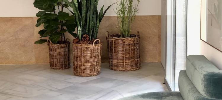 赛维利亚塔科酒店(Hotel Tayko Sevilla)图片