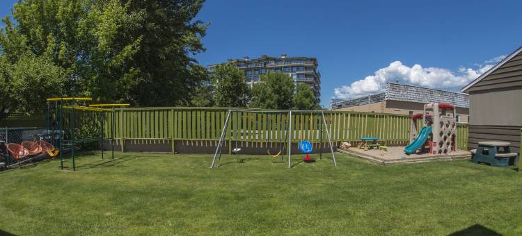 峡谷之星汽车旅馆(Valley Star Motel)图片