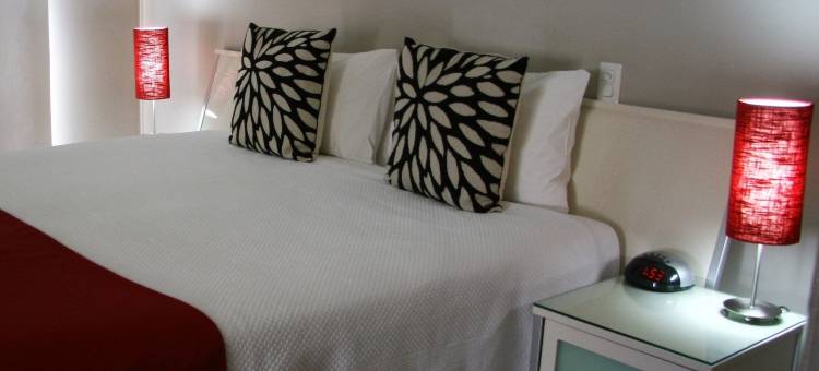 朝克棕榈精品住宿加早餐旅馆(Chaucer Palms Boutique B&B)图片