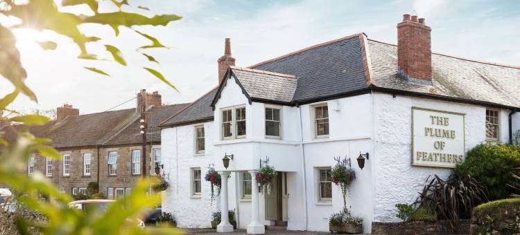 普卢姆菲泽斯住宿加早餐旅馆(The Plume of Feathers)图片