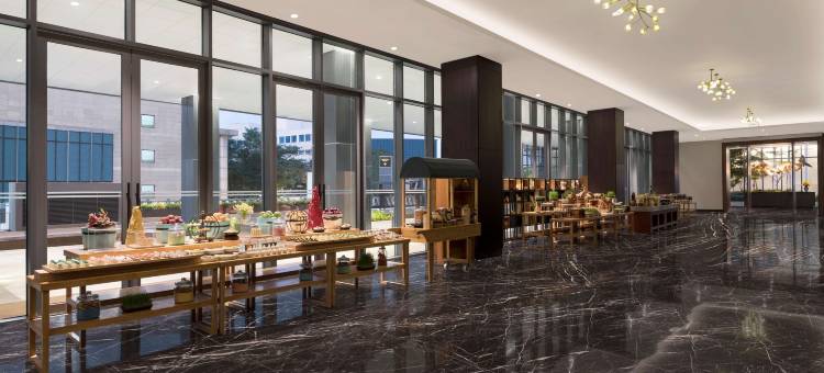 希尔顿花园酒店班加罗尔使馆Manyata商务园(Hilton Garden Inn Bengaluru Embassy Manyata Business Park)图片