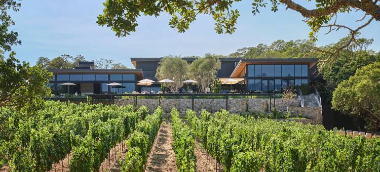 蒙塔奇希尔兹堡(Montage Healdsburg)图片