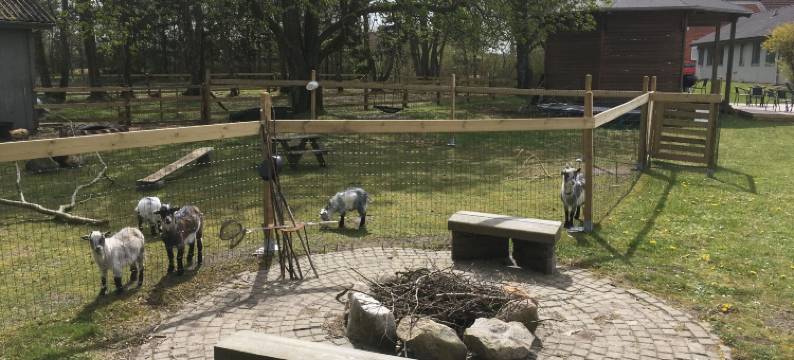 黑斯特卡尔家庭度假屋(Hestkær Family Rooms)图片