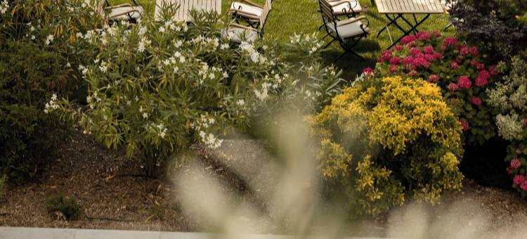 拉梅森查布兰酒店 餐厅(Michel Chabran)图片