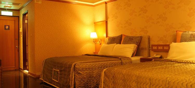 桃园比佛利商务汽车旅馆图片