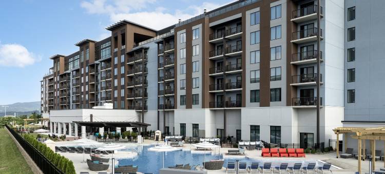 希尔顿大使套房鸽子谷度假村(Embassy Suites by Hilton Pigeon Forge Resort)图片