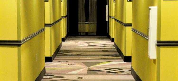 希尔顿欢朋旅馆，位于利斯维尔，靠近波尔克堡(Hampton Inn by Hilton Leesville Fort Polk)图片