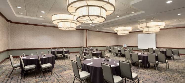 芝加哥北岸迪尔菲尔德希尔顿安泊套房酒店(Embassy Suites by Hilton Chicago North Shore Deerfield)图片