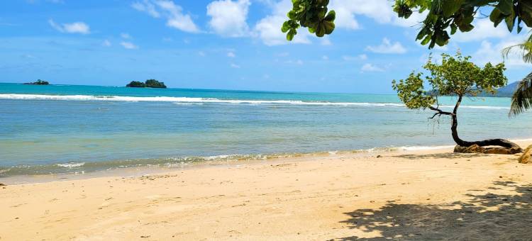 象岛白色之结酒店(The White Knot Koh Chang)图片