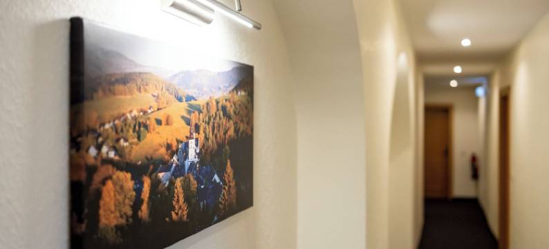 施瓦岑贝格市政厅酒店(Hotel Ratskeller Schwarzenberg)图片