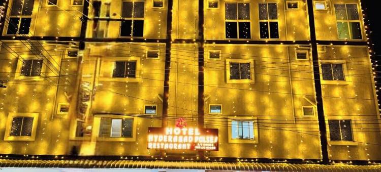 海得拉巴脉动酒店(HOTEL HYDERABAD PULSE)图片