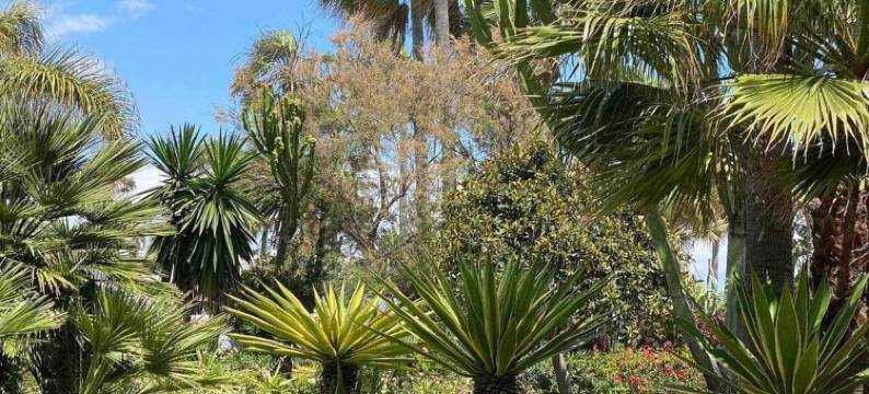 Seaside Stay with Pool图片