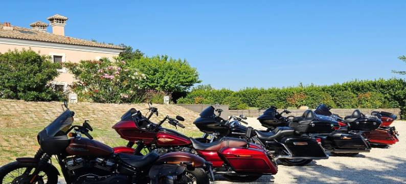 Manor in Marche near Adriatic Beaches图片