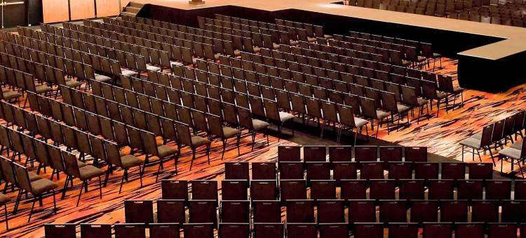 罗萨里奥市中心铂尔曼酒店(Pullman Rosario City Center)图片