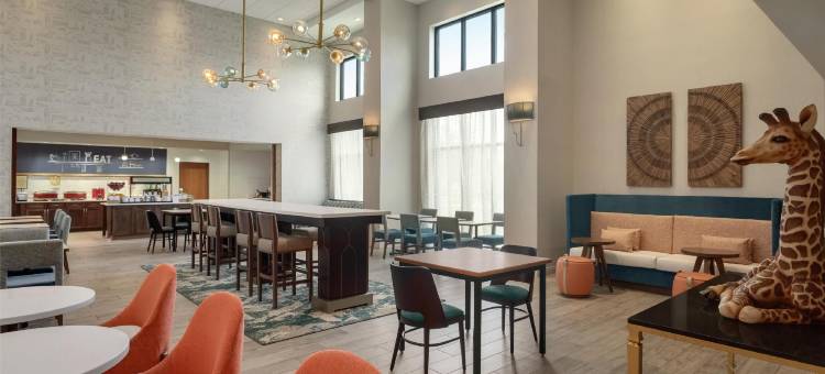 希尔顿坦帕布什花园区欢朋酒店及套房(Hampton Inn and Suites by Hilton Tampa Busch Gardens Area)图片