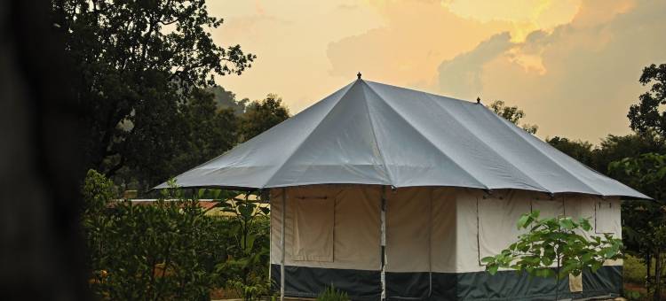 邦德利营地和度假村，潘纳(Bundeli Camps and Resorts, Panna)图片