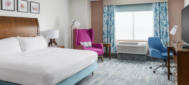 奥兰多海洋世界希尔顿花园酒店(Hilton Garden Inn Orlando at Seaworld)图片