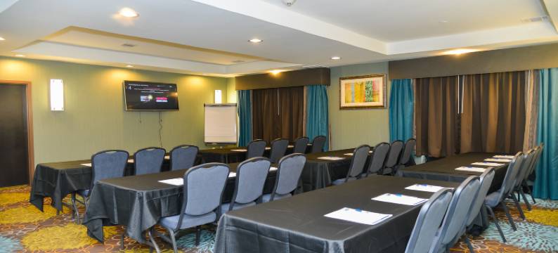 库埃罗智选假日酒店(Holiday Inn Express & Suites CUERO by IHG)图片