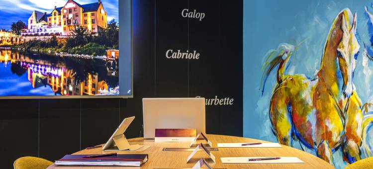 卢瓦尔边境索米尔美居酒店(Hôtel Mercure Bords de Loire Saumur)图片