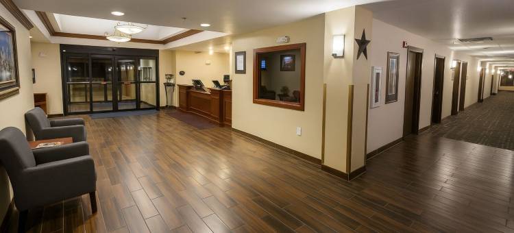 美国斯戴套房酒店(Stay USA Hotel and Suites)图片