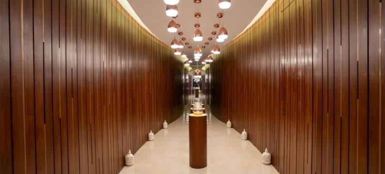 马斯喀特阿尔胡森酒店(Al Husn Hotel Muscat)图片