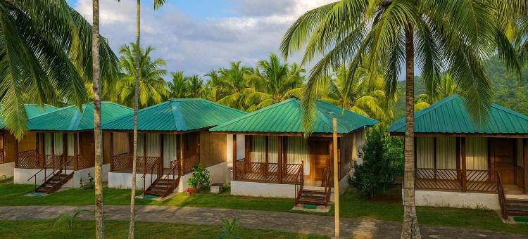 雨林度假村(Rainforest Resort)图片