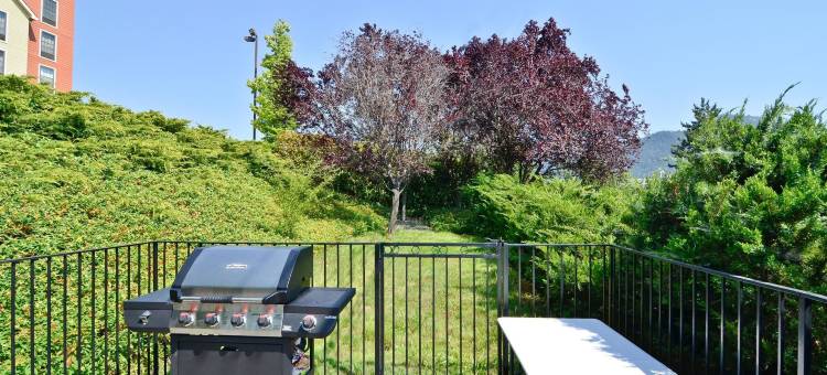 格兰茨帕斯贝斯特韦斯特酒店(Best Western Grants Pass Inn)图片