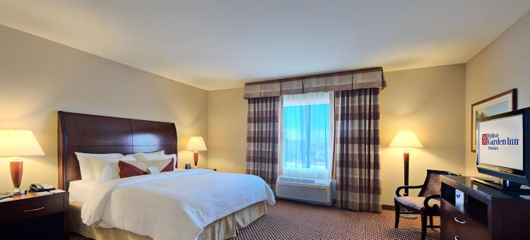 帕姆代尔希尔顿花园酒店(Hilton Garden Inn Palmdale)图片