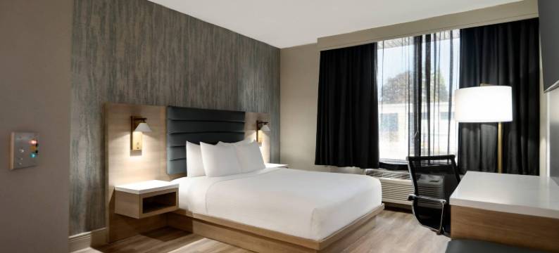 蒙特利尔机场丽笙酒店(Radisson Hotel Montreal Airport)图片