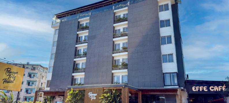 木瓜树酒店(Papaya Tree Hotels)图片