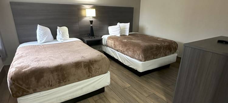 圣彼得斯堡伊克诺旅馆(Econo Lodge St Petersburg Central)图片