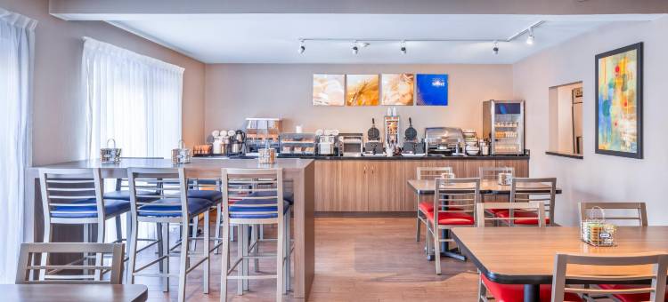 东部舒适酒店(Comfort Inn East)图片