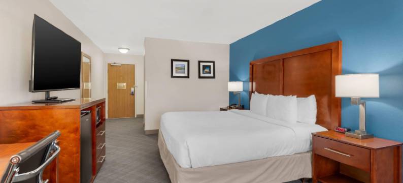 舒适套房酒店(Comfort Inn & Suites)图片