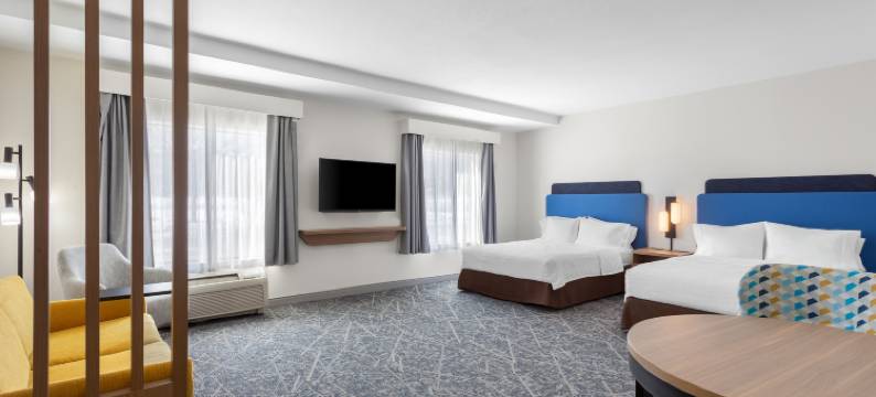 希尔顿欢朋套房酒店-芝加哥迪尔帕克(Hampton Inn & Suites Chicago Deer Park)图片