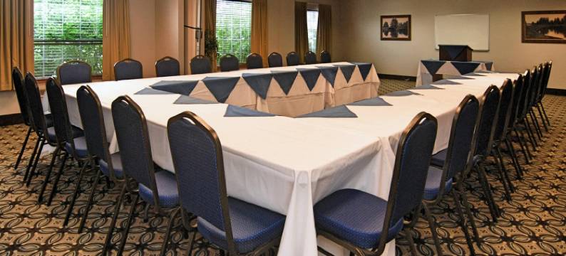 机场舒适套房酒店(Comfort Suites Airport)图片