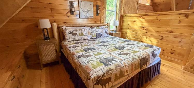 Boujee Bear- 现代化小木屋，距离多莉山主题公园仅数分钟(Mins to Dollywood Renovated Boujee Bear Cabin)图片