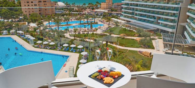 希波特尔斯帕尔马海滩宫殿及水疗酒店(Hipotels Playa de Palma Palace&Spa)图片