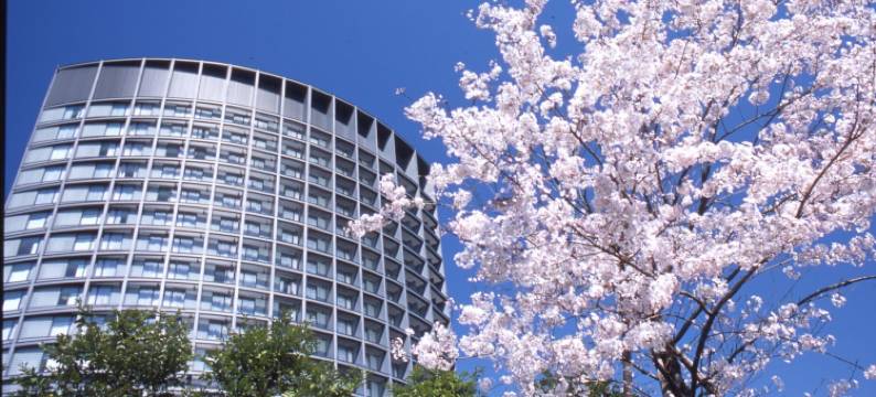 半藏门格兰亚克酒店(Hotel Grand Arc Hanzomon)图片