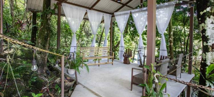 卡萨德尔阿布罗树屋(限成人)(Hotel Casa del Arbol Manuel Antonio - Adults Only)图片