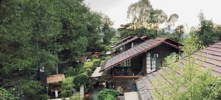 伦邦维拉自然空气度假村(Vila Air Natural Resort)图片