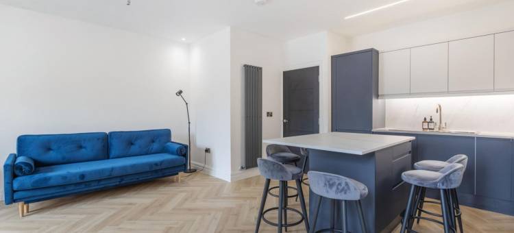 Modern Brixton Flat 2图片