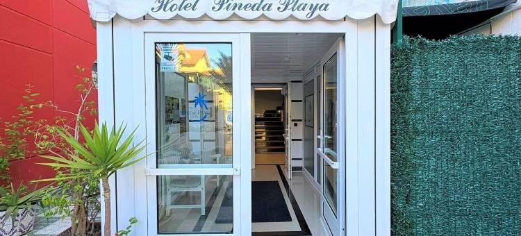 皮内达普拉亚酒店(Hotel Pineda Playa)图片